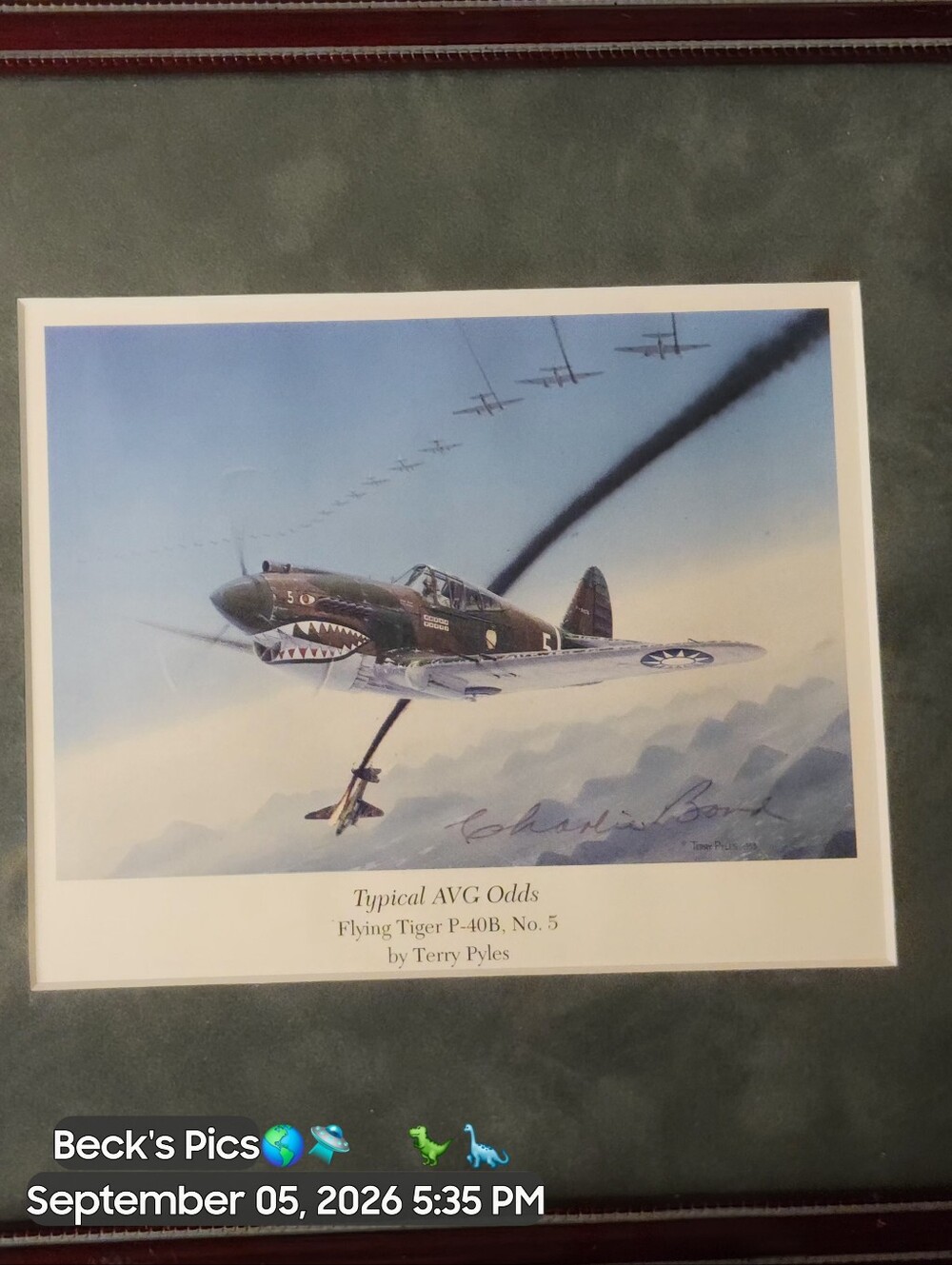 Flying Tigers P-40 Warhawk Art Print Signed By Ace Charles Bond